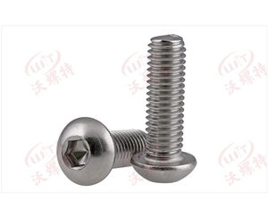 鈦螺絲.盤(pán)頭內(nèi)六角