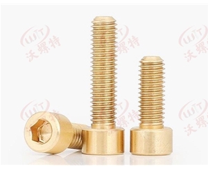 銅螺釘.內(nèi)六角圓柱頭